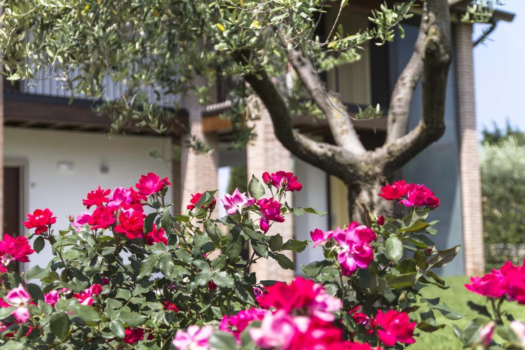 Hotel Relais Agli Olivi Lazise Exterior foto